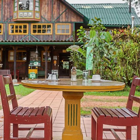 Sachatamia Lodge Mindo Eksteriør bilde